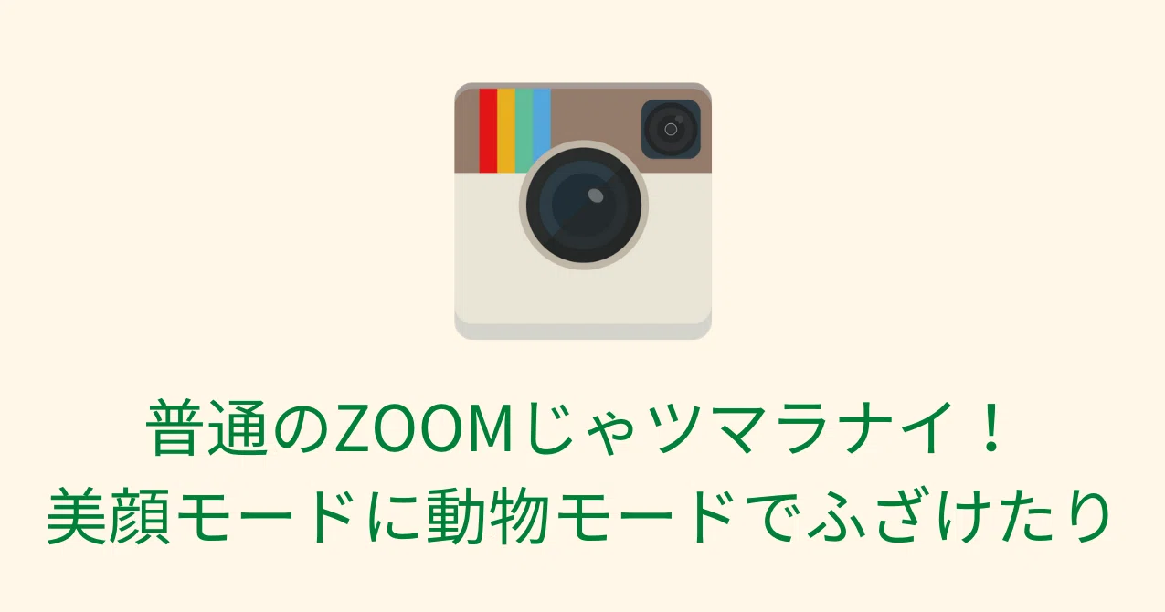 普通のzoomじゃツマラナイ 美顔モードに動物モードでふざけたり ワタナベツヨシ 講師 先生のウェブの悩みをサクッと解決 Note