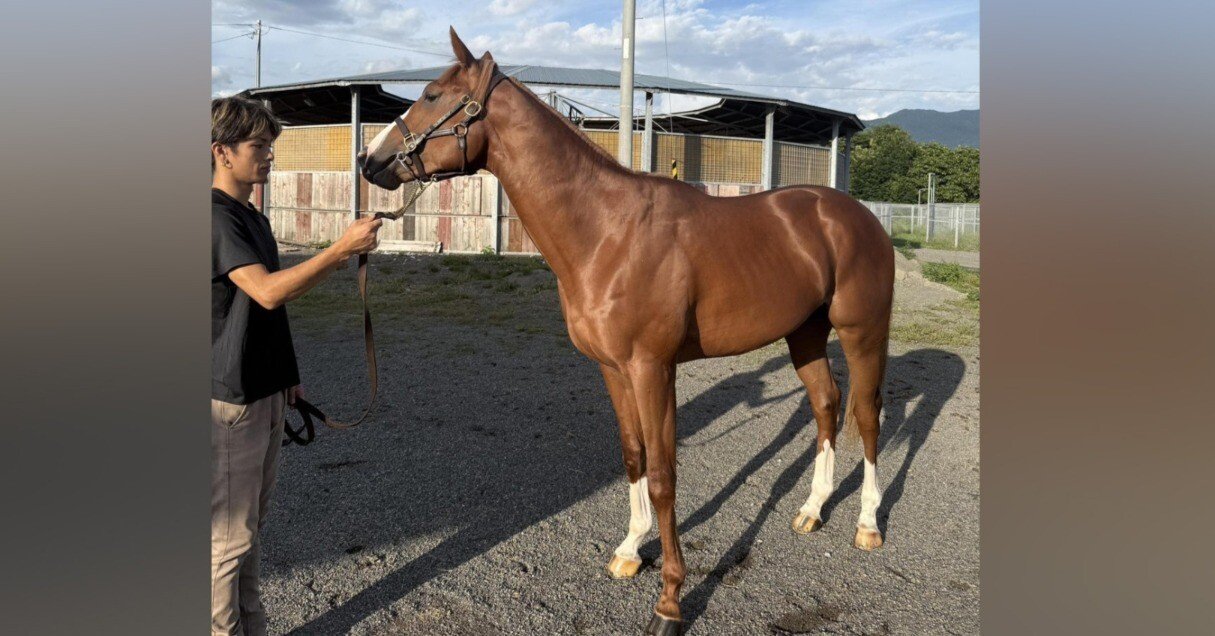 馬主復活で思い出す、「もし高崎競馬を買えていれば」｜堀江貴文