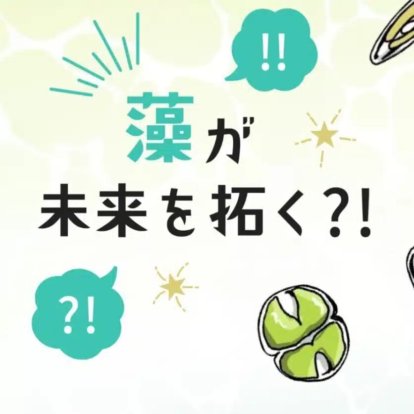 ソラルナ愛好会