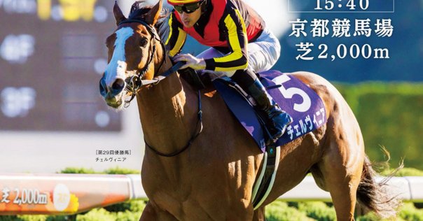 2025ヴィクトリアマイル ポスター｜日本サイン競馬会