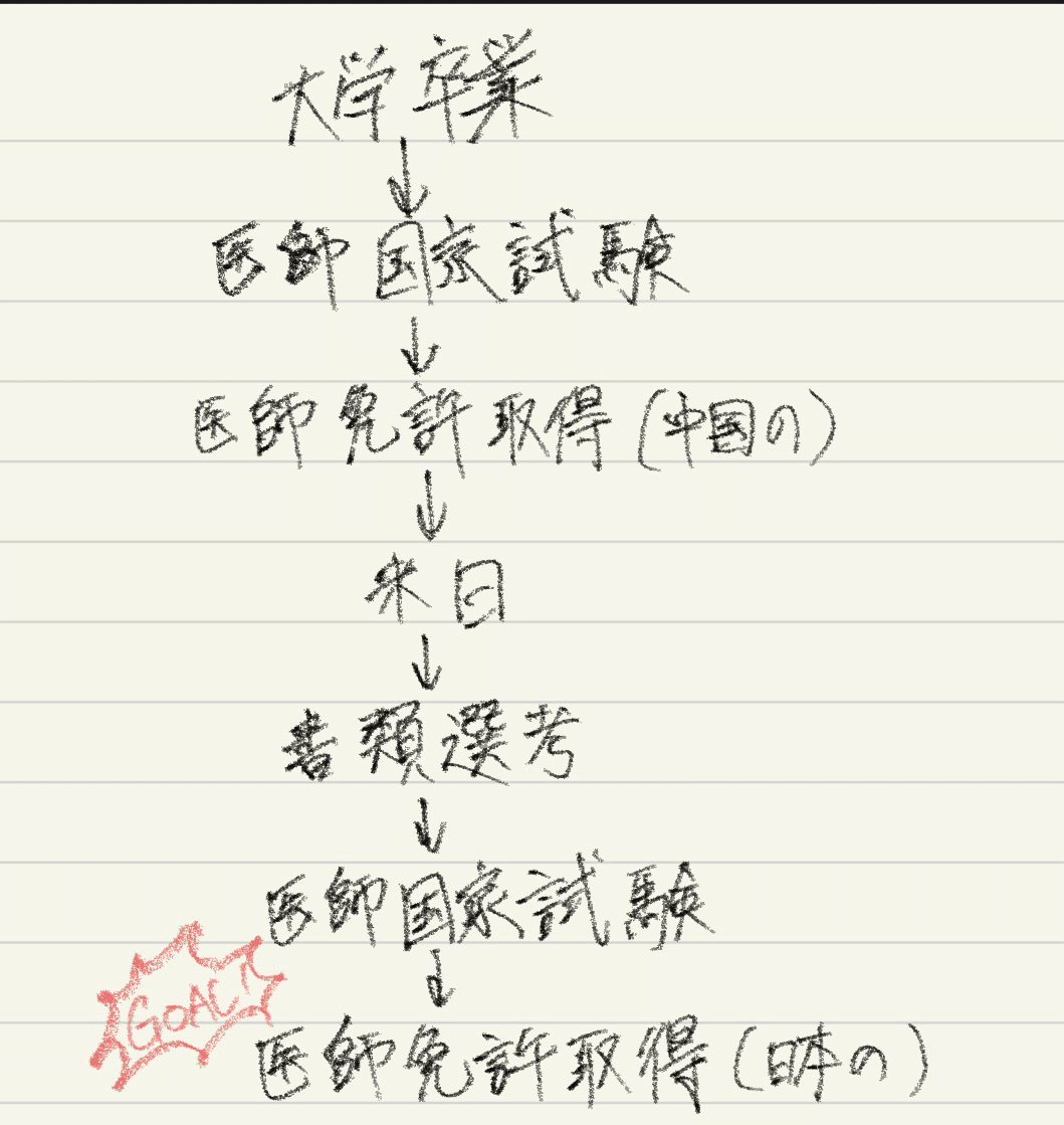 海外医学部から日本の医師へ｜厚労省認定のリアルと戦略｜リン｜中国医学生