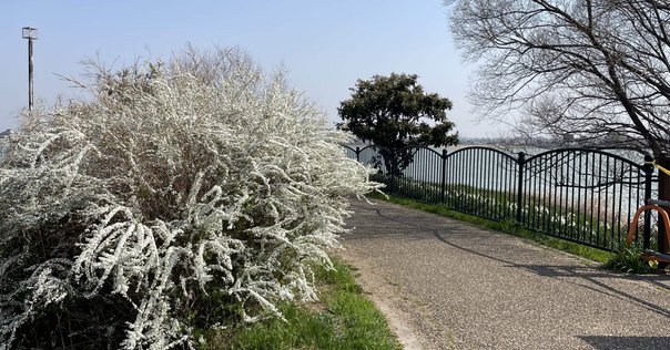 猫塚真実 Yahoo!オークション - 東映ヒロインMAX 2006 Vol.04 山崎真実