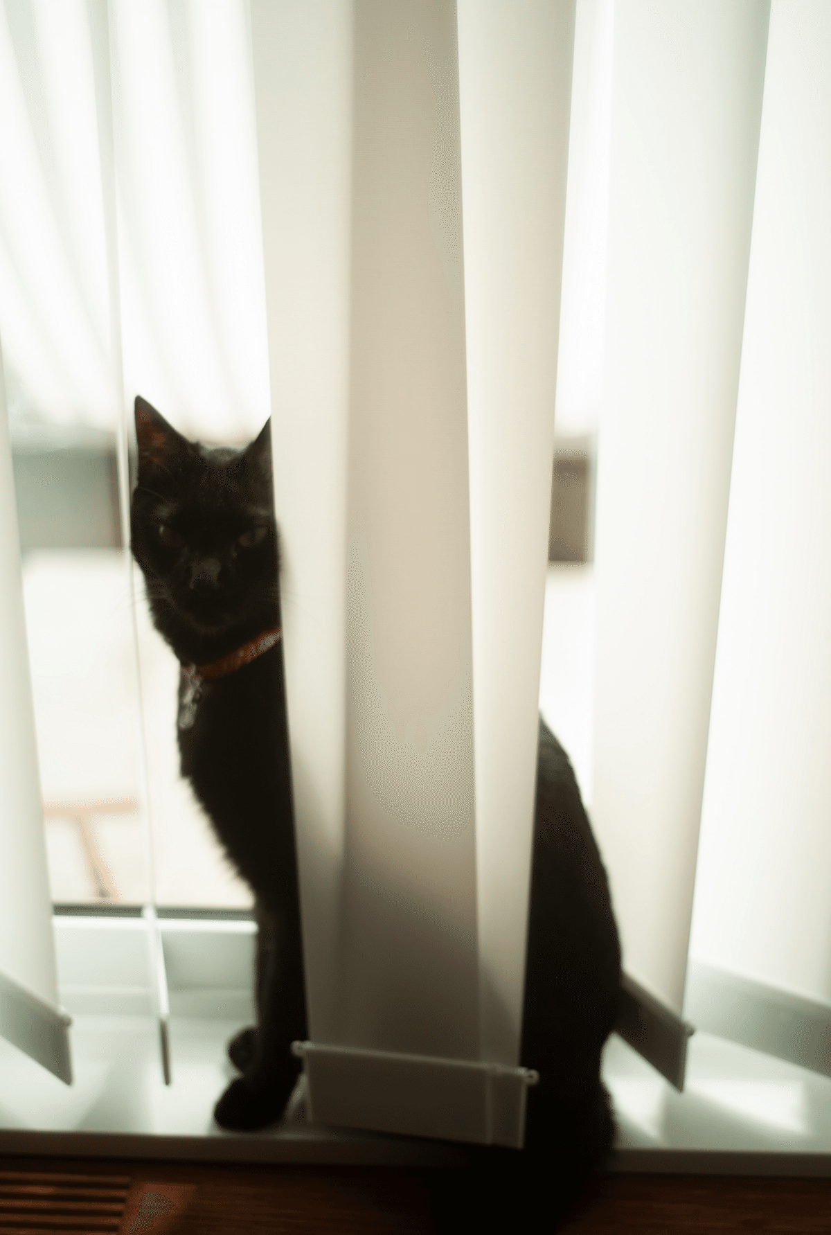 黒猫 寝落ち猫シリーズ🐈 #猫イラスト #akikokino #木野聡子