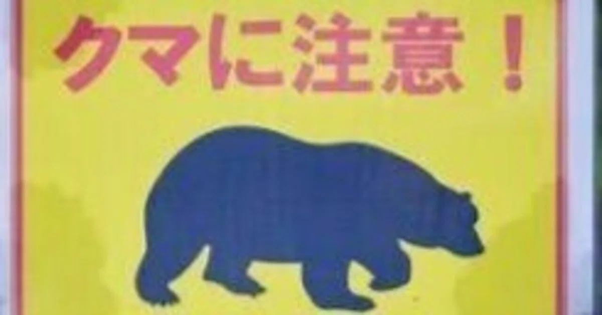 [20-Character Diary 40 - 2025.10.18 (Sat)] Man-eating bear spotted｜はたちゃん