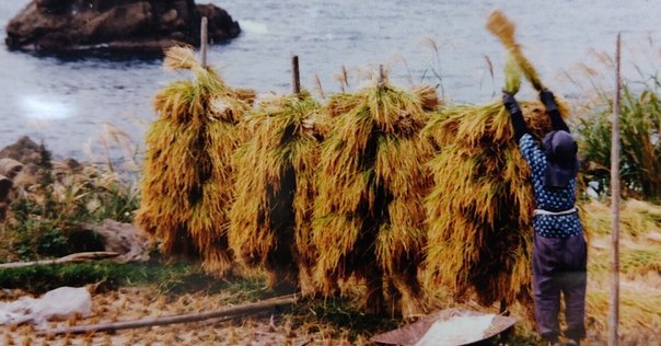 書籍紹介】宝島 第3巻11号 全都市カタログ｜またたび文庫