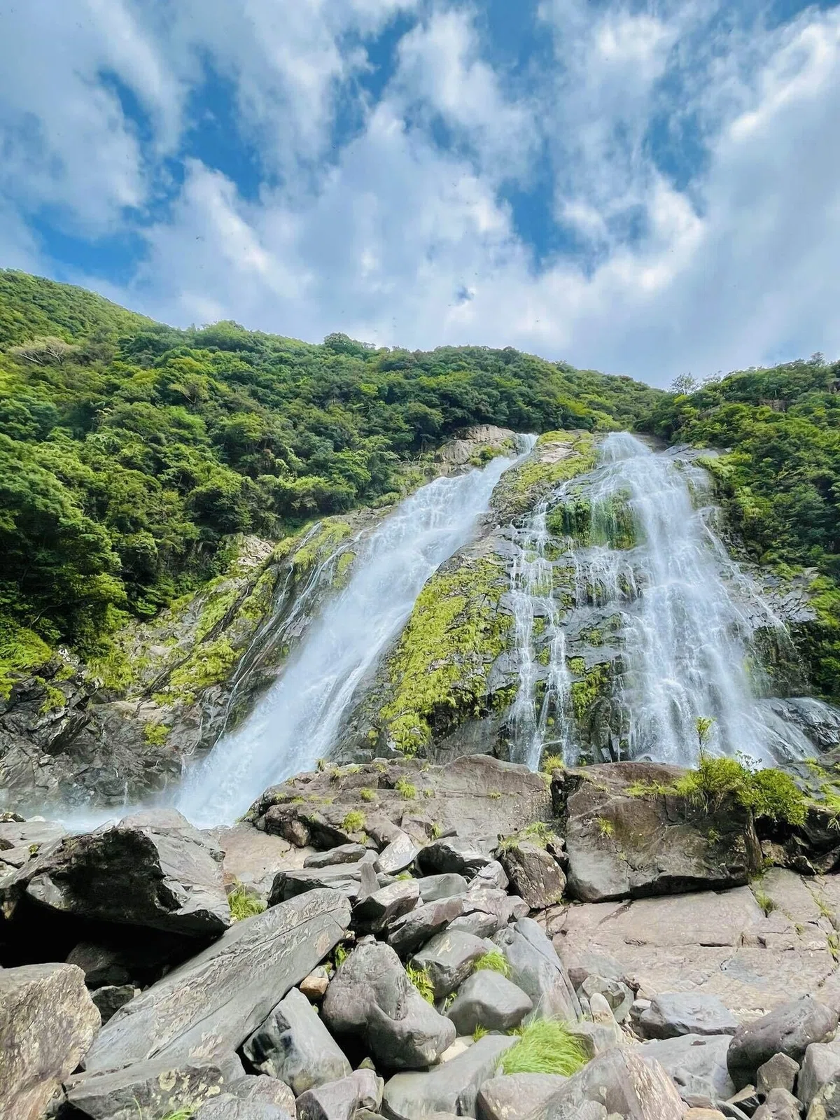自然の前には平伏すしかないと感じた屋久島旅♡|YUMI YOKOYAMA
