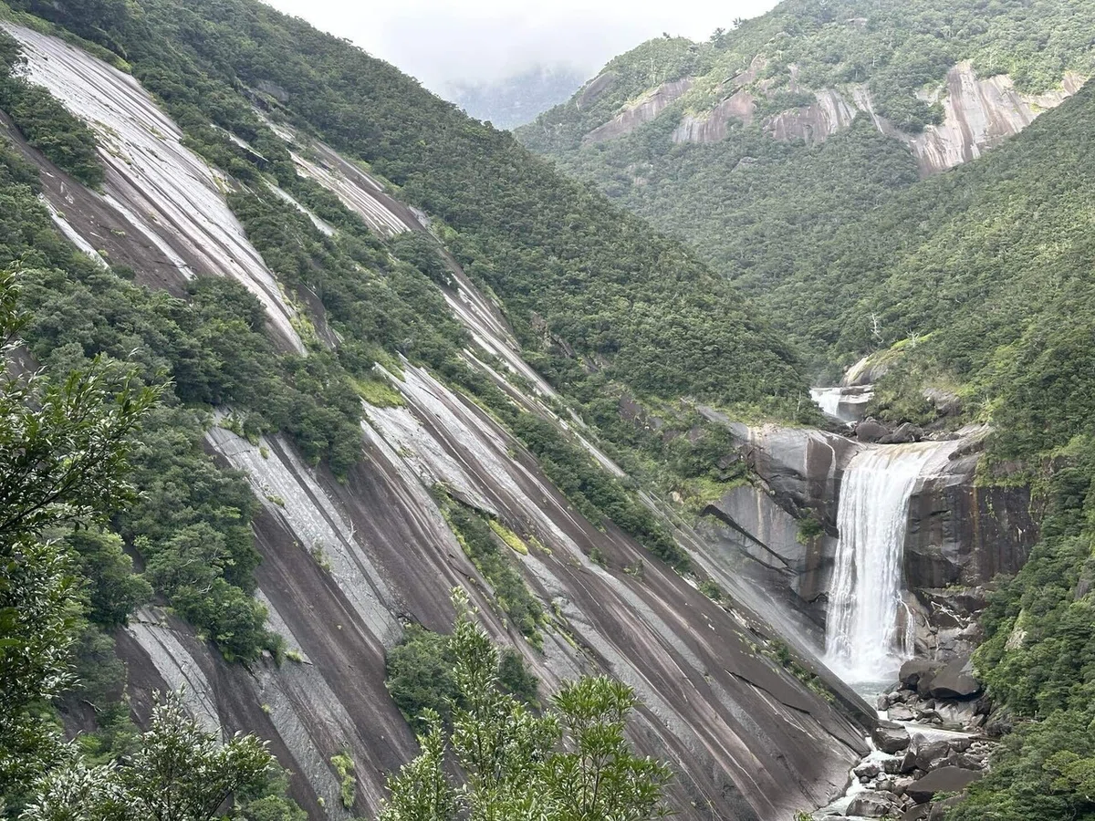 自然の前には平伏すしかないと感じた屋久島旅♡|YUMI YOKOYAMA