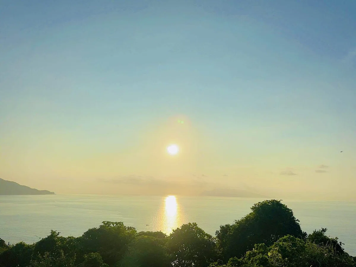 自然の前には平伏すしかないと感じた屋久島旅♡|YUMI YOKOYAMA