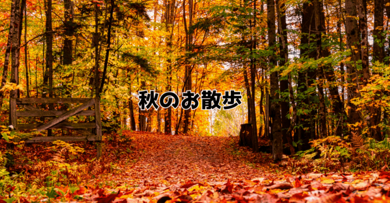 秋の散歩道 秋の散歩道のれん 通販【ニッセン】