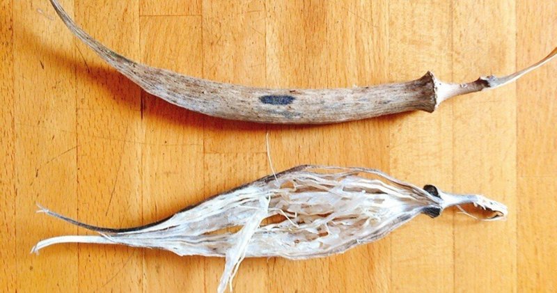 ブラインドウォーク の新着タグ記事一覧 Note つくる つながる とどける