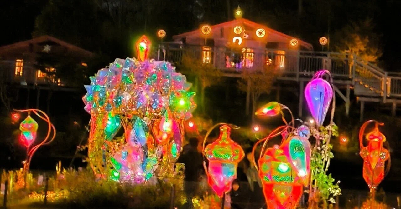 Fairytale Village Forest Illumination 2025