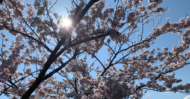 日記 愚痴を聞いてくれる人 Akiko Note