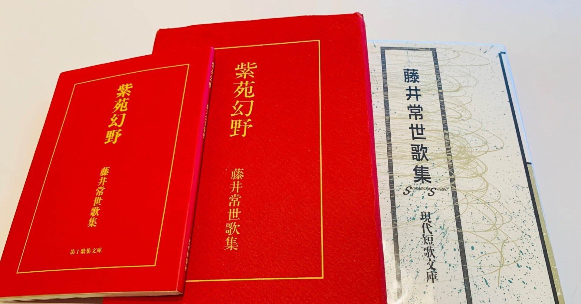 短歌同人誌　率2~6 8，9，+幕間、フリペ　町4号+歌集町 新刊短歌の同人誌『架空の海辺の生活史』文学イベント東海F-2