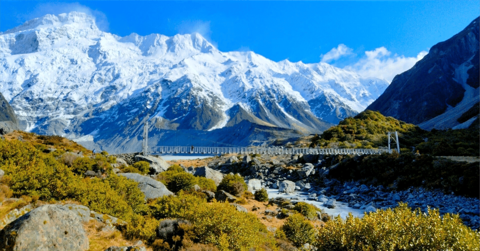 レポート全科目合格！図書館司書資格取得にチャレンジ②】｜岡本謙人