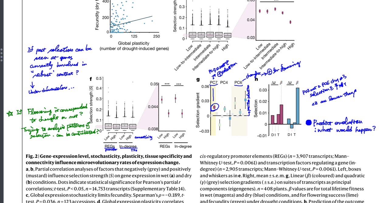 論文 どうやって読んでますか Umbell Note