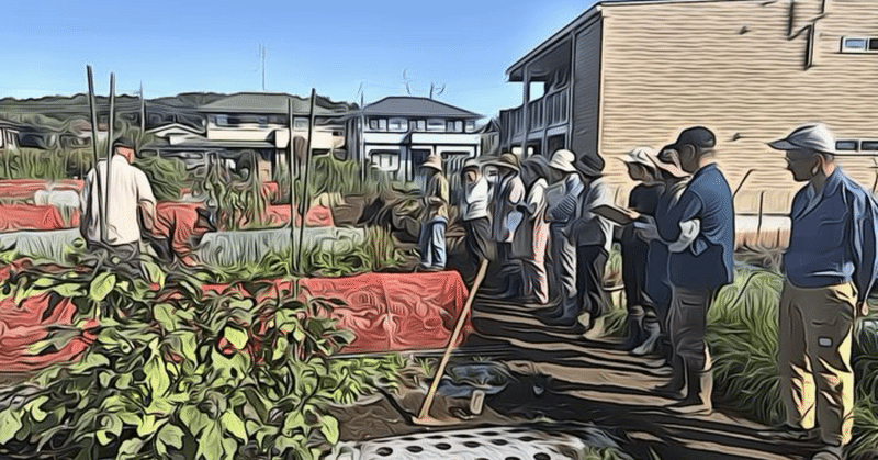 空芯菜の花 見られたら幸運