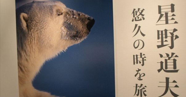 遠くを想う｜tomo