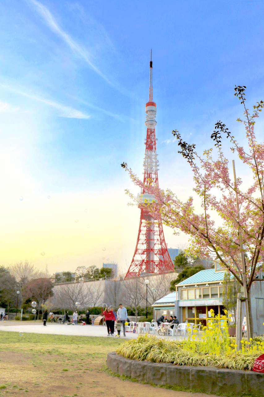 2月の終わり芝公園に 何処かに行きたいなぁー 猫用の生きた椅子 Note