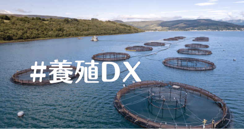 養殖DX｜Innovation Hub, CAC group