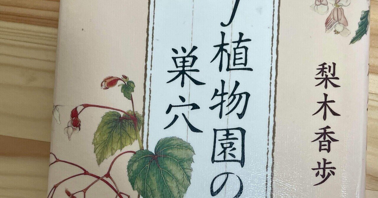 神々の糧 : 太古の知恵の木を求めて 植物とドラッグ、そして人間進化の歴史再考 神々の糧(ドラッグ): 太古の知恵の木を求めて | テレンス マッケナ