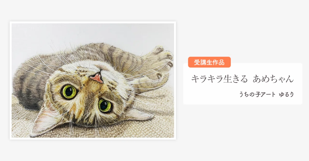 色鉛筆画　猫　うちの子 色鉛筆画 猫 うちの子 【公式通販】