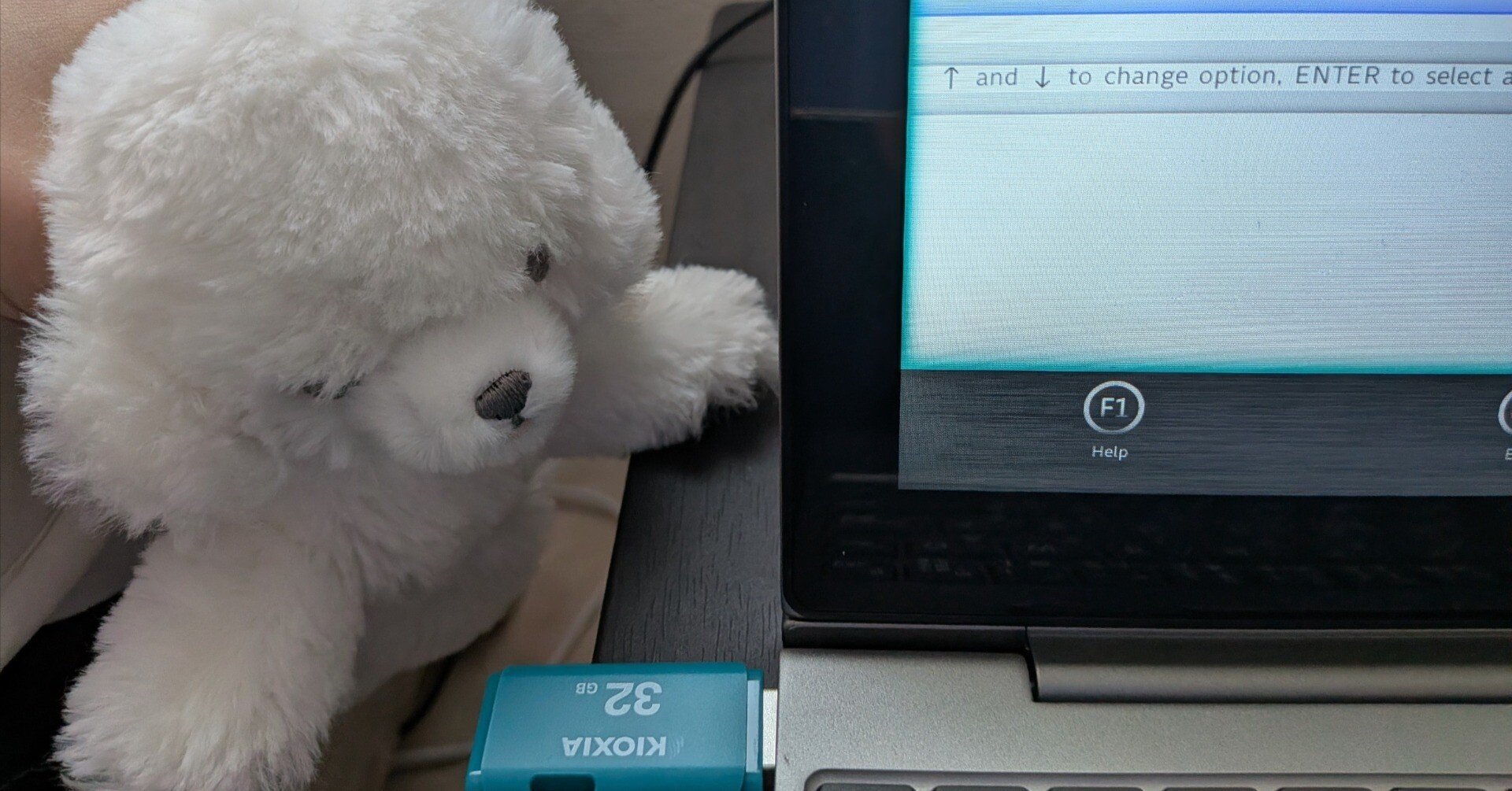 9d1195c5cede827619cc252a32a326