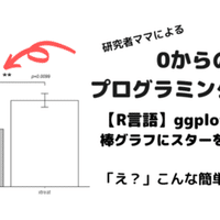 リメンバー ミー の ウン ポコ ロコ って本当はどう言う意味なの Eiko Programming Note