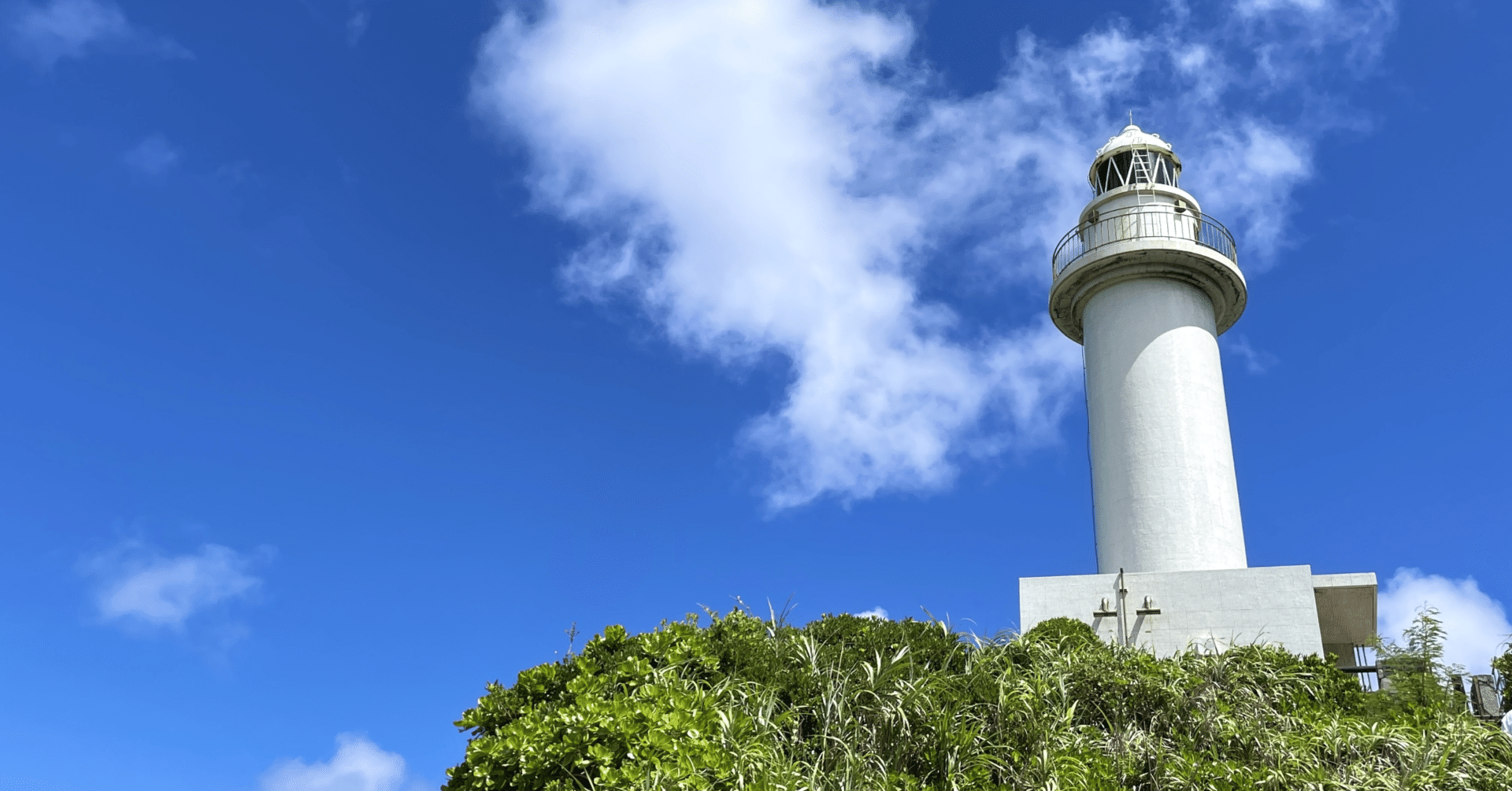 馬券単勝 ポルトフィーノ 新馬戦 藤森S】タガノミストがゴール寸前で差し切りOP昇級初戦V