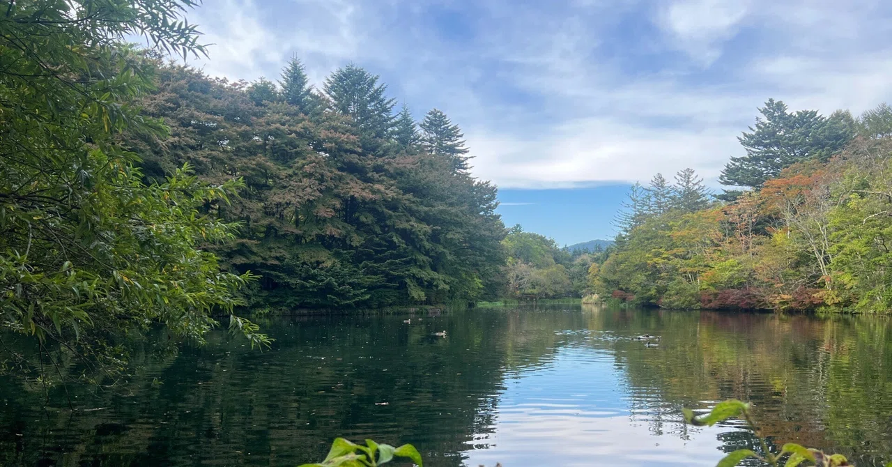 秋の軽井沢旅行|ALFIN