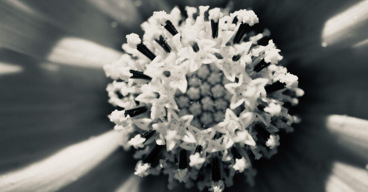 宙花と羽毛 花の季節到来 タムロン28-200mm F/2.8-5.6 Di III RXD (Model