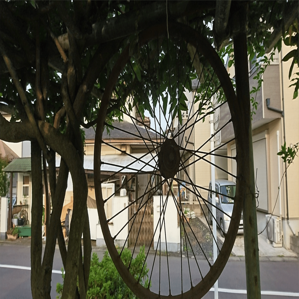 完組ホイールの変化｜サイクルショップ マティーノ