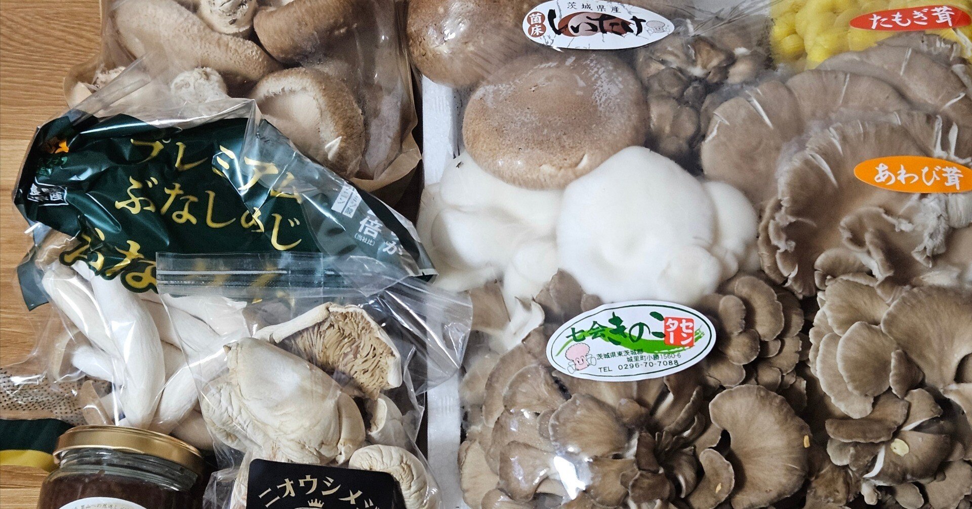 ヨコハマきのこ大祭2025」に行ってきた｜クロマキバレット