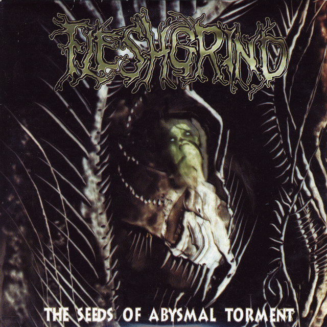 FLESHGRIND 3枚セットデスメタル ブルデス 日の当たらないメタルディスク探訪：第30回 FLESHGRIND - The Seeds Of
