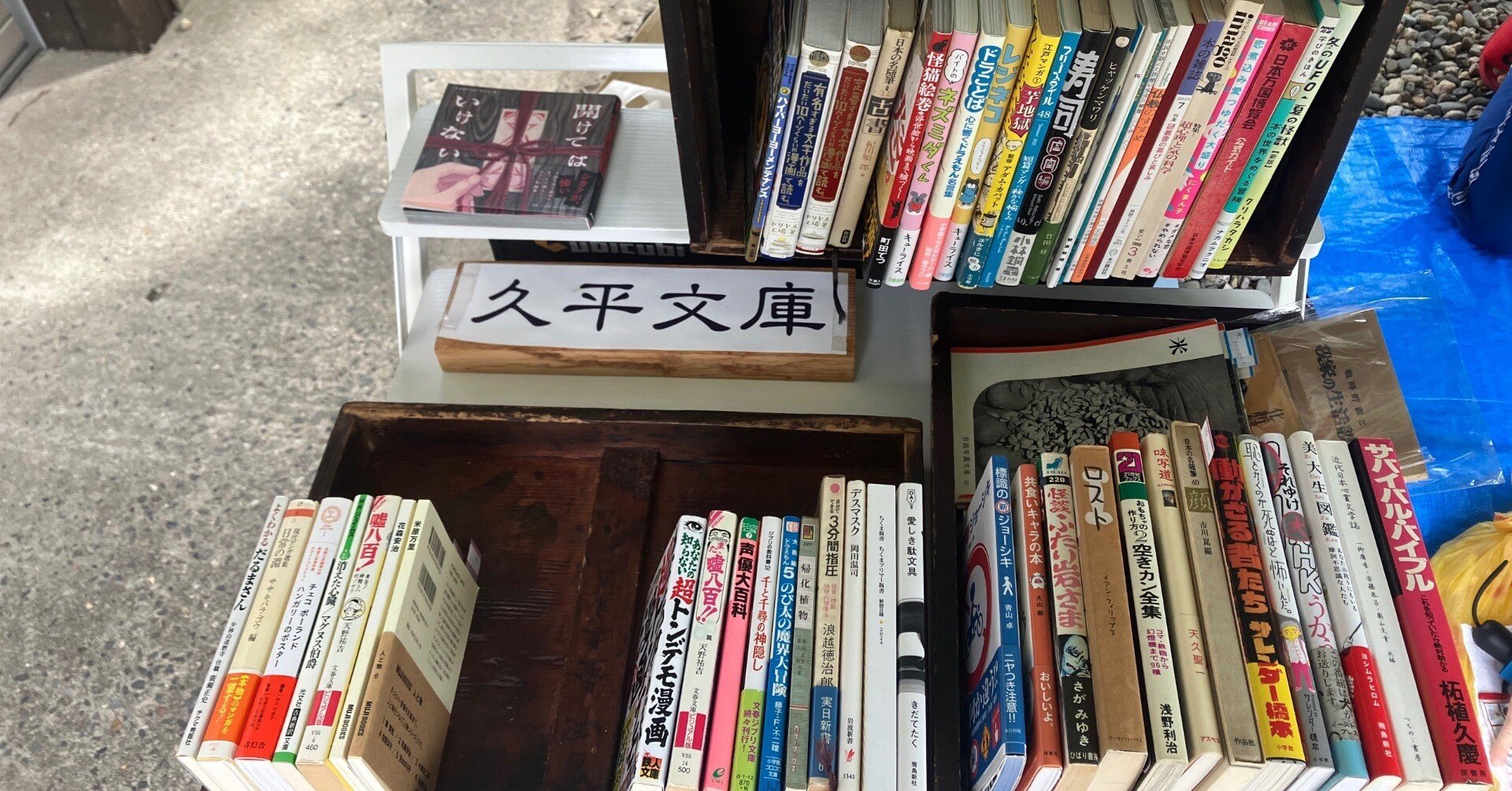 cfd75e78d1ebc338e16f7b577b7233