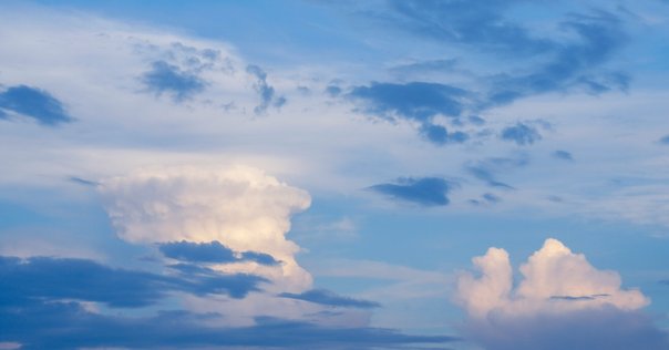 いきなり今井アレクサンドル展》 2025年10月23日(木) ～10月26日