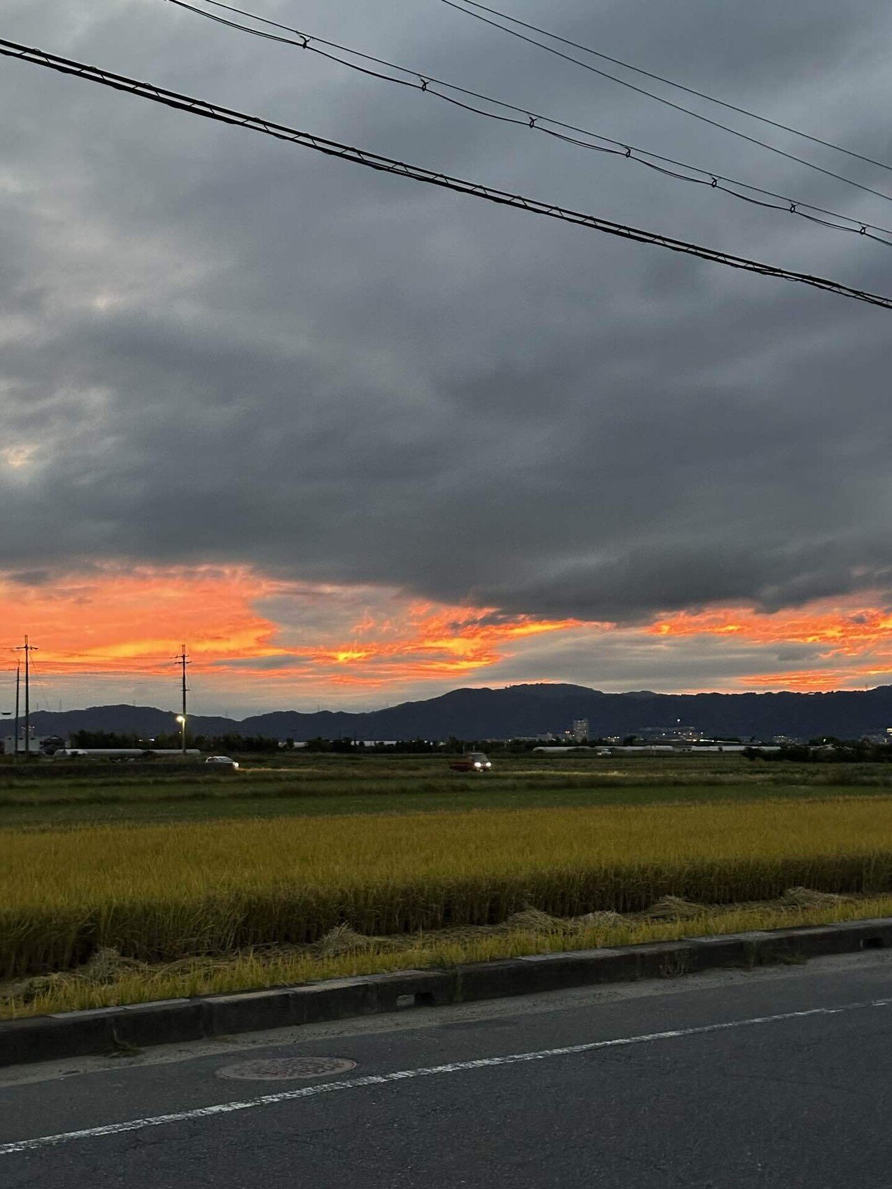 ソロキャンプ2025秋、開幕｜のりまき