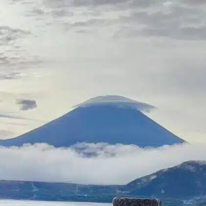 ののはな