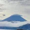ののはな