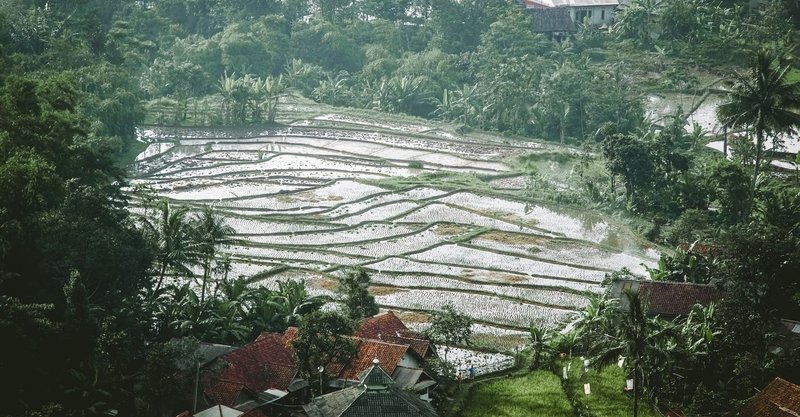 就農9 農業基礎用語集 稲作編 Hidedon 本気 マジ モード Note