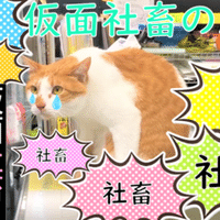 もしタマスケ広報課長が 課長の仕事 を読んだら 青木防災 公式 Note
