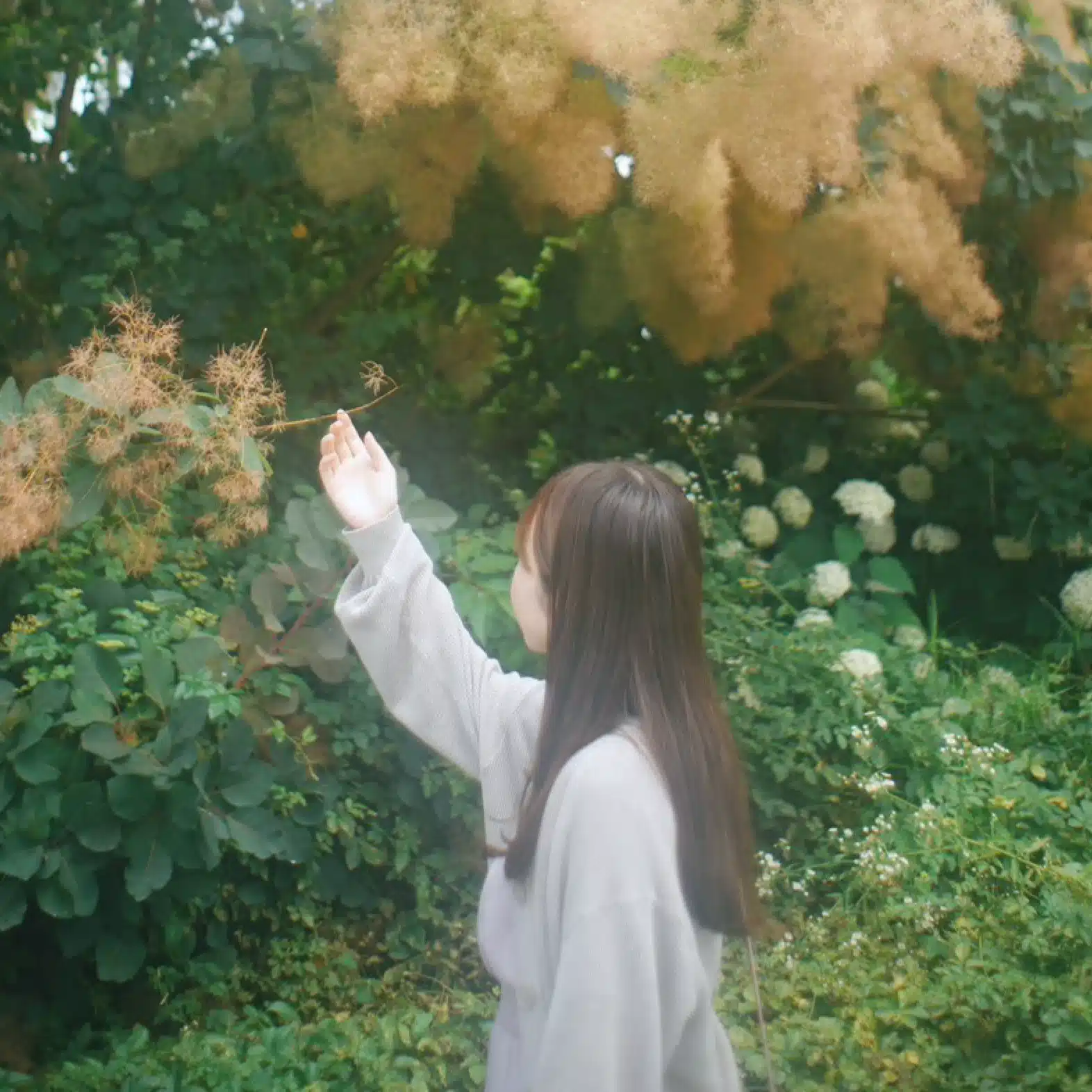 暇真