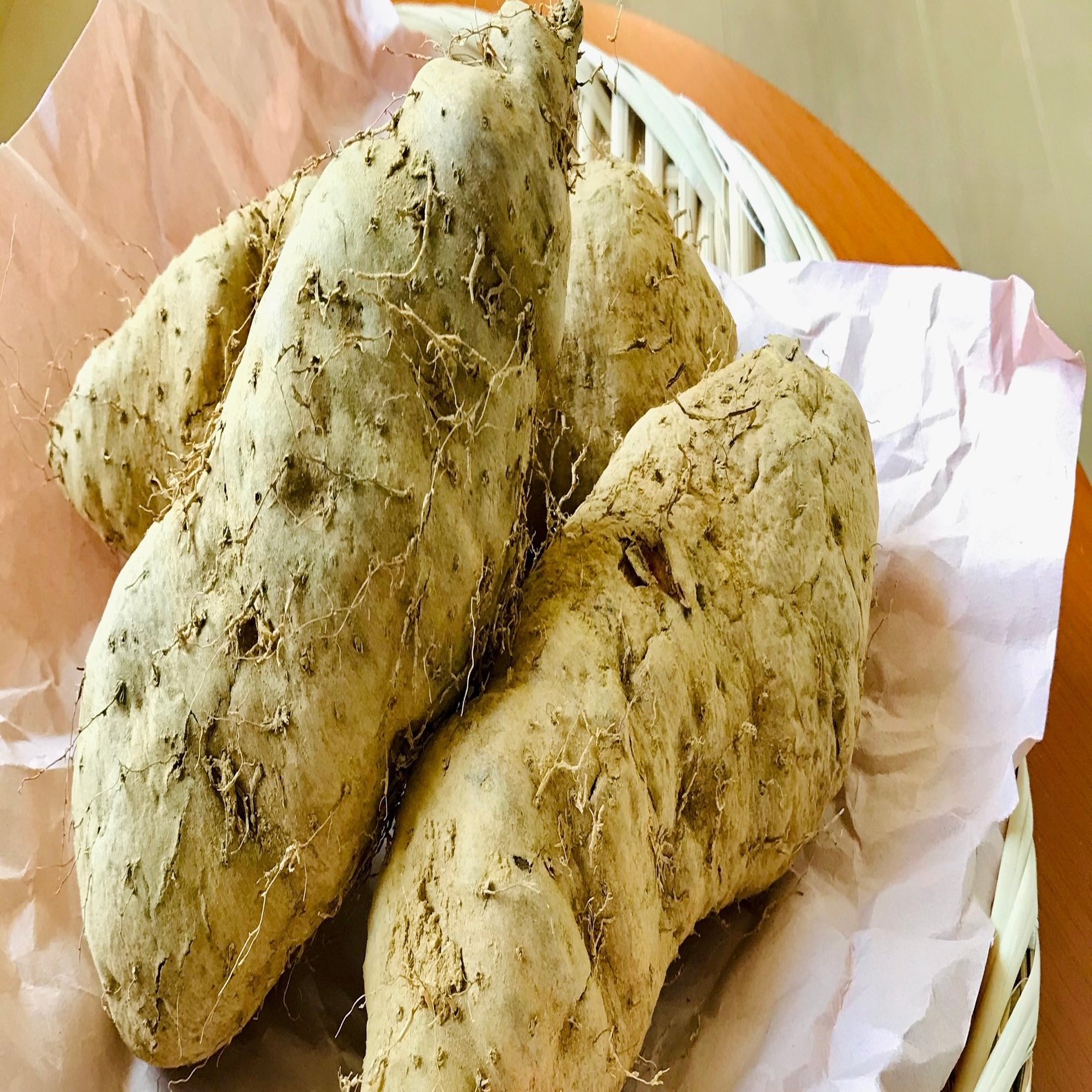 沖縄 幻の在来山芋 クーガ芋 2 玉城久美子 食 暮らし 沖縄 Note