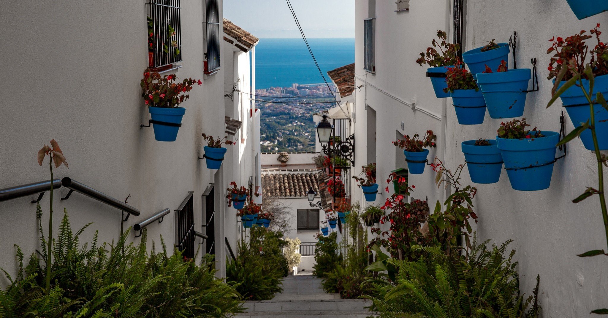 c8314468b9fd15041752b5b272423d