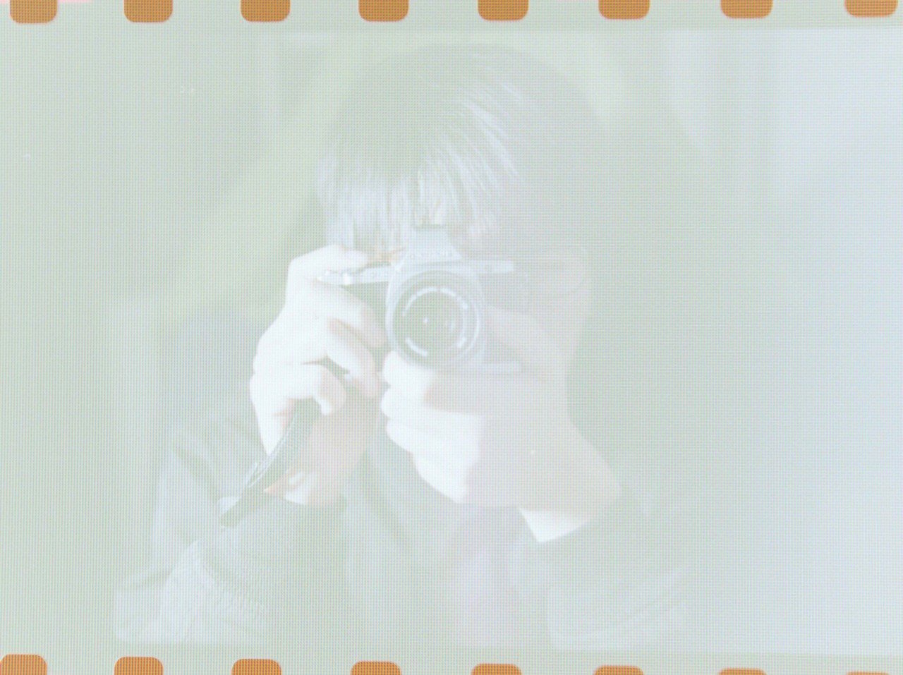 ネガフィルムを自宅でデータ化する ぴこたんた Note ネガフィルムを自宅でデータ化する ぴこたんた Note