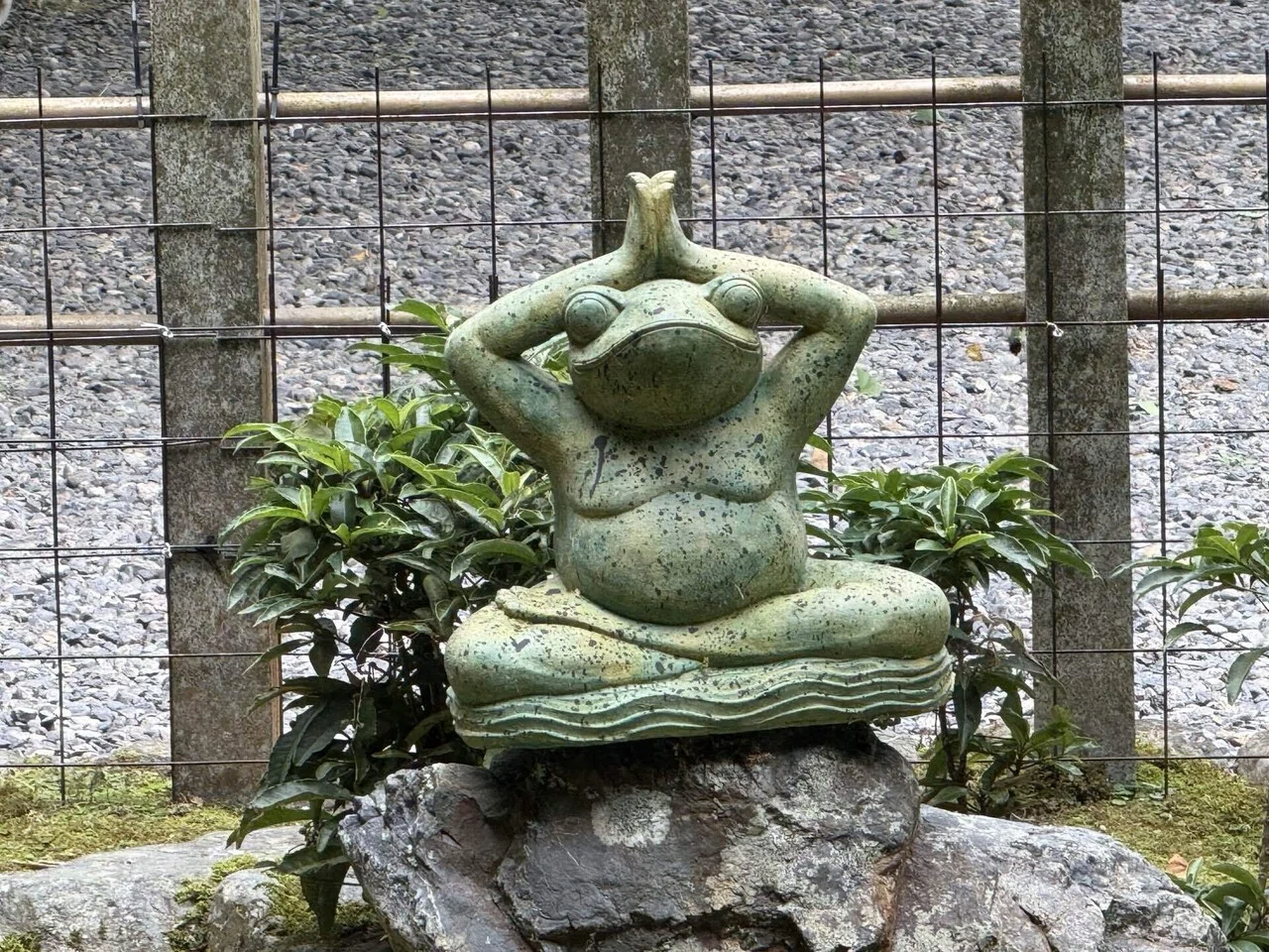 時代物【丹山 作】細密彫刻 一刀彫 木彫　蛙 総開帳で大興奮〜岩間寺〜｜しろちゃん