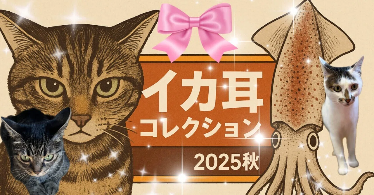 イカ耳ねこ様 リクエスト 5点 まとめ商品 猫の「イカ耳」って何？