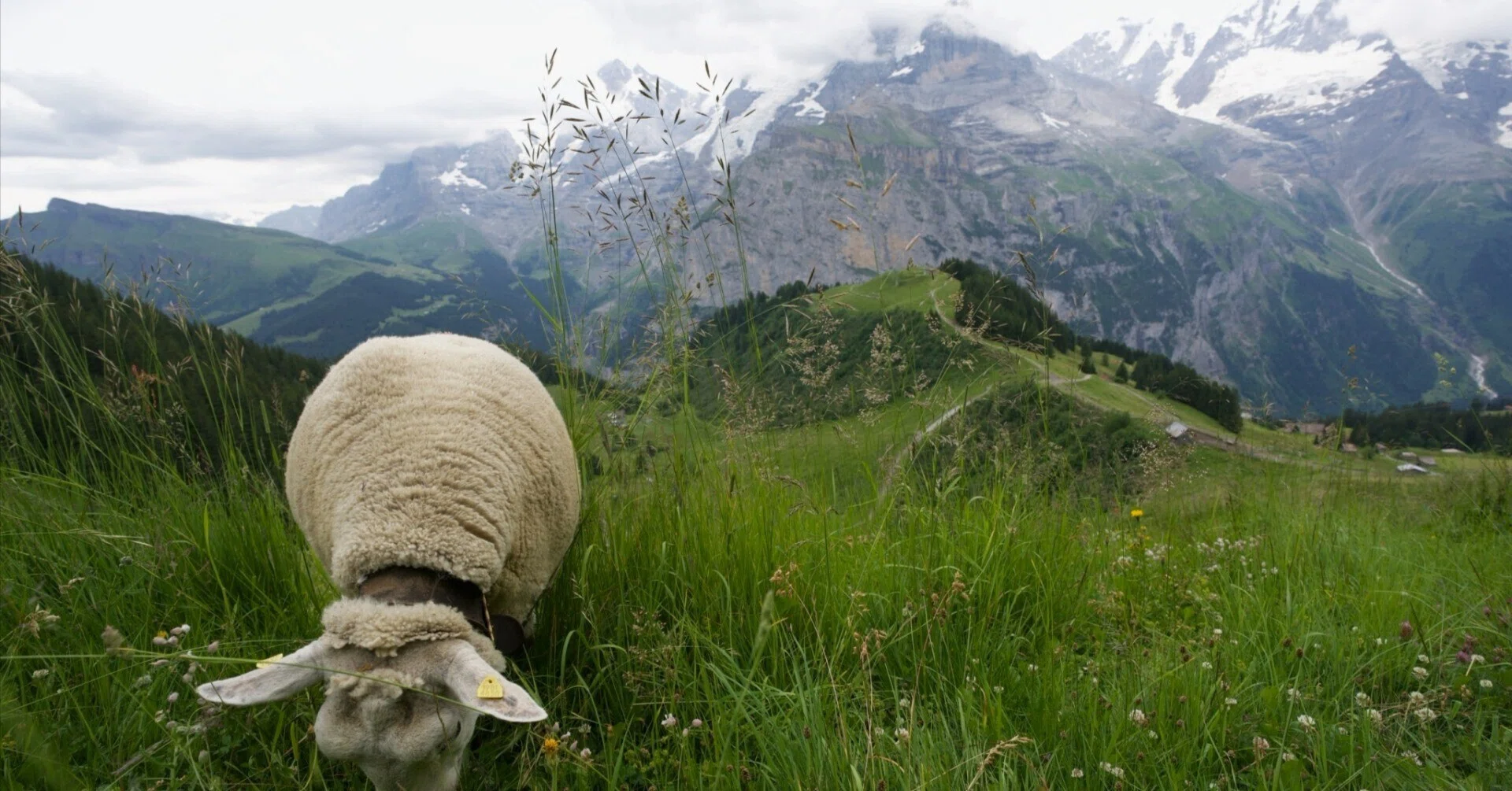 🇨🇭スイス写真探訪｜Tetsu K