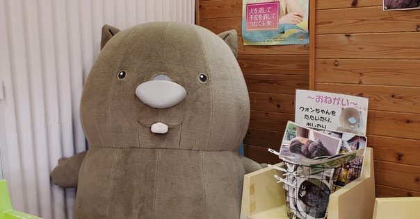 エバースのモンキー125CD（ステッカー無し） エバース モンキー125CD