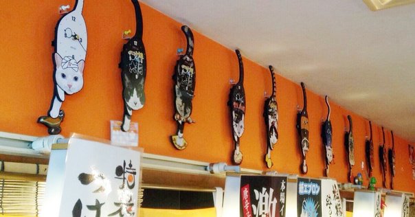 猫麦とろろ」とスニダンが初コラボ！デビュー5周年を記念した