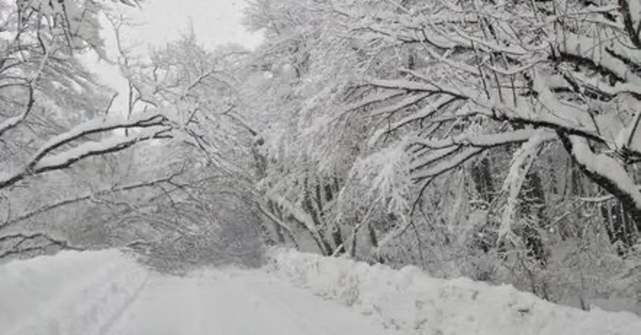 平地で雪の目安の寒気 本当に850hPa面で-6℃なのか？｜まぁぁず